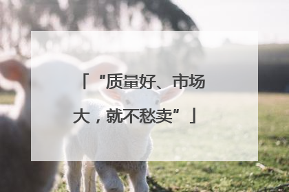 “质量好、市场大，就不愁卖”