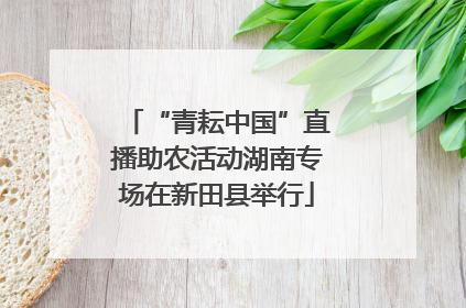 “青耘中国”直播助农活动湖南专场在新田县举行