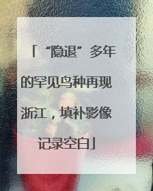 “隐退”多年的罕见鸟种再现浙江，填补影像记录空白