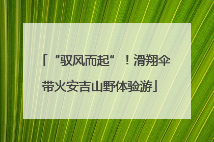 “驭风而起”！滑翔伞带火安吉山野体验游