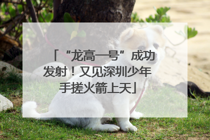 “龙高一号”成功发射！又见深圳少年手搓火箭上天