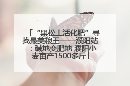“黑松土活化肥”寻找最美粮王——濮阳站：碱地变肥地 濮阳小麦亩产1500多斤