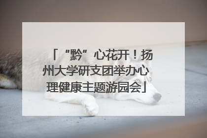 “黔”心花开！扬州大学研支团举办心理健康主题游园会