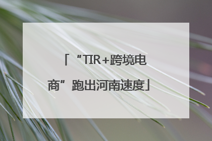 “TIR+跨境电商”跑出河南速度