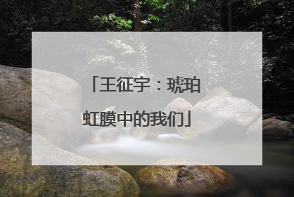 王征宇：琥珀虹膜中的我们