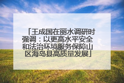 王成国在丽水调研时强调：以更高水平安全和法治环境服务保障山区海岛县高质量发展