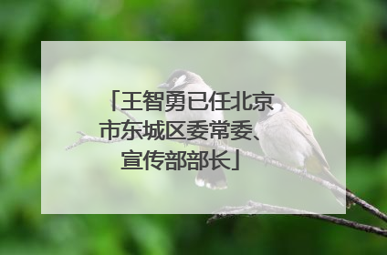 王智勇已任北京市东城区委常委、宣传部部长