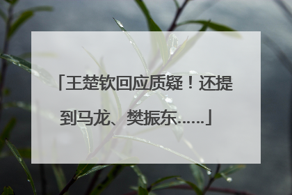 王楚钦回应质疑！还提到马龙、樊振东……