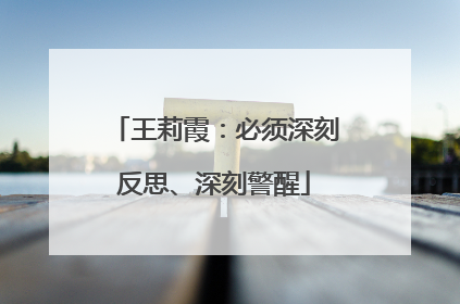 王莉霞：必须深刻反思、深刻警醒
