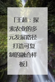 王超：探索农业的多元发展路径 打造可复制的融合样板