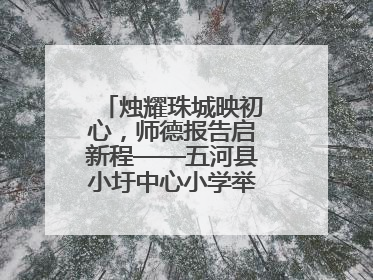烛耀珠城映初心，师德报告启新程——五河县小圩中心小学举行师德报告会