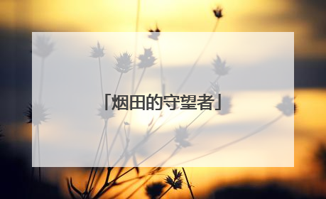 烟田的守望者