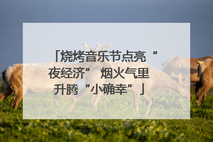 烧烤音乐节点亮“夜经济” 烟火气里升腾“小确幸”