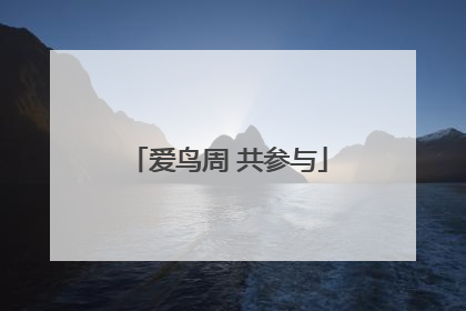 爱鸟周 共参与