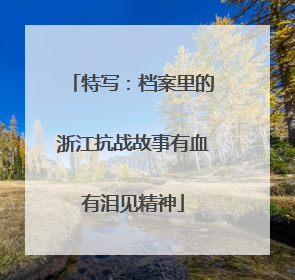 特写：档案里的浙江抗战故事有血有泪见精神
