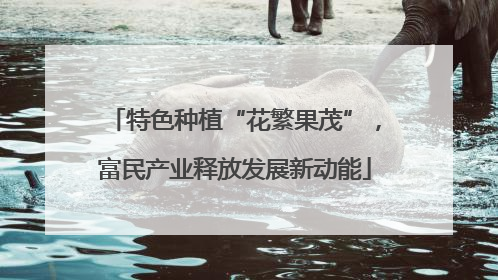 特色种植“花繁果茂”，富民产业释放发展新动能