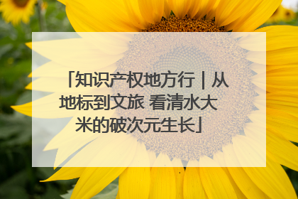 知识产权地方行｜从地标到文旅 看清水大米的破次元生长