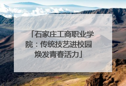 石家庄工商职业学院：传统技艺进校园焕发青春活力