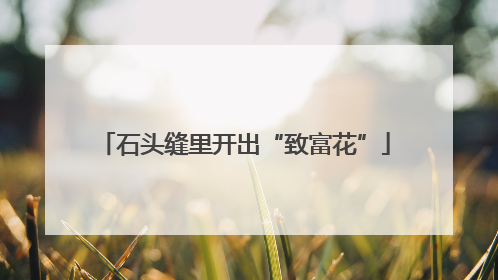石头缝里开出“致富花”