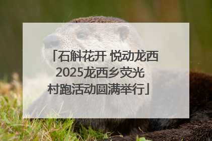 石斛花开 悦动龙西 2025龙西乡荧光村跑活动圆满举行