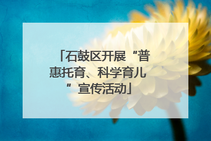 石鼓区开展“普惠托育、科学育儿”宣传活动