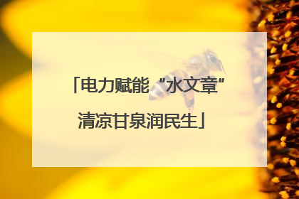 电力赋能“水文章” 清凉甘泉润民生