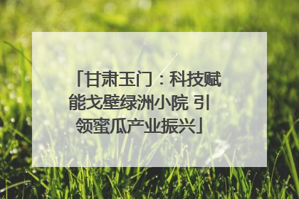甘肃玉门：科技赋能戈壁绿洲小院 引领蜜瓜产业振兴