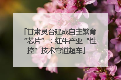 甘肃灵台建成自主繁育“芯片”：红牛产业“性控”技术弯道超车