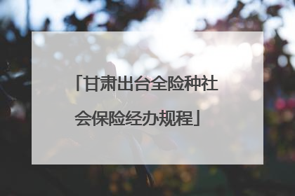 甘肃出台全险种社会保险经办规程