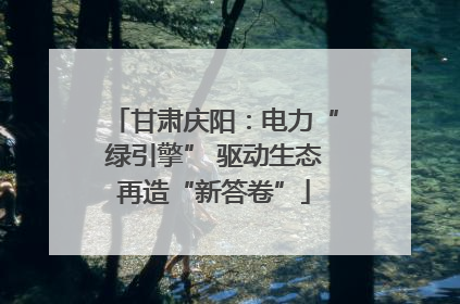 甘肃庆阳：电力“绿引擎” 驱动生态再造“新答卷”