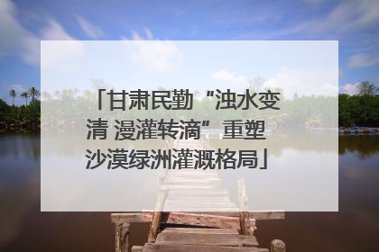 甘肃民勤“浊水变清 漫灌转滴”重塑沙漠绿洲灌溉格局