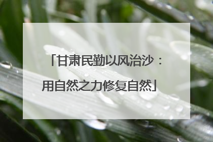 甘肃民勤以风治沙：用自然之力修复自然