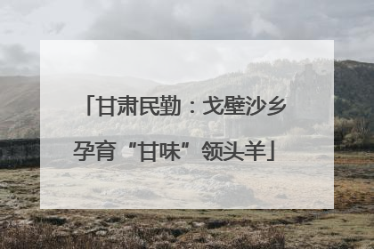 甘肃民勤：戈壁沙乡孕育“甘味”领头羊