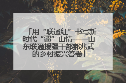 用“联通红”书写新时代“疆”山情——山东联通援疆干部郝兆武的乡村振兴答卷