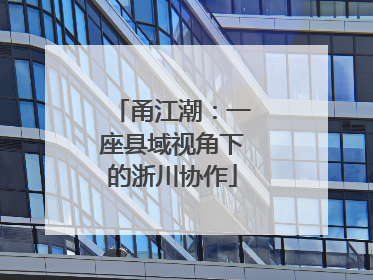 甬江潮：一座县域视角下的浙川协作