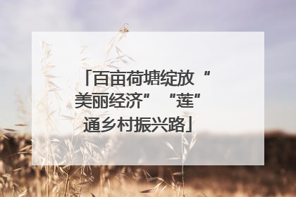 百亩荷塘绽放“美丽经济”“莲”通乡村振兴路