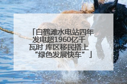 白鹤滩水电站四年发电超1960亿千瓦时 库区移民搭上“绿色发展快车”