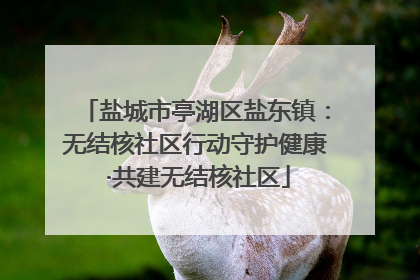 盐城市亭湖区盐东镇：无结核社区行动守护健康 ·共建无结核社区
