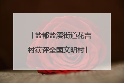 盐都盐渎街道花吉村获评全国文明村