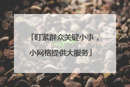 盯紧群众关键小事，小网格提供大服务