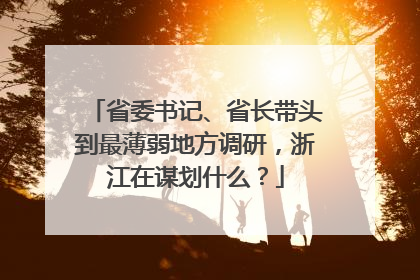 省委书记、省长带头到最薄弱地方调研，浙江在谋划什么？