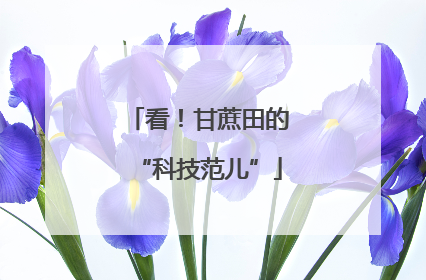 看！甘蔗田的“科技范儿”