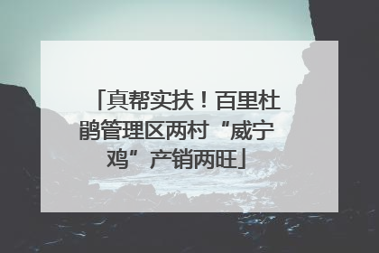 真帮实扶！百里杜鹃管理区两村“威宁鸡”产销两旺