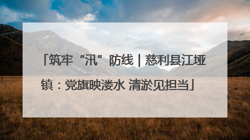 筑牢“汛”防线｜慈利县江垭镇：党旗映溇水 清淤见担当