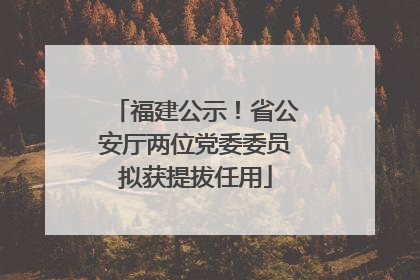 福建公示！省公安厅两位党委委员拟获提拔任用
