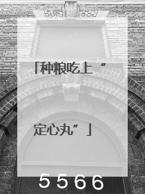 种粮吃上“定心丸”