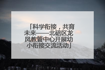 科学衔接，共育未来——北碚区龙凤教管中心开展幼小衔接交流活动