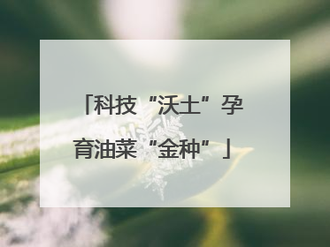 科技“沃土”孕育油菜“金种”
