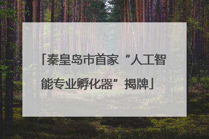 秦皇岛市首家“人工智能专业孵化器”揭牌