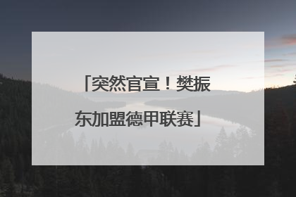 突然官宣！樊振东加盟德甲联赛